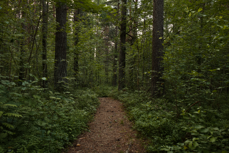 Caring For Your Overall Health: Making It Part of Your Day