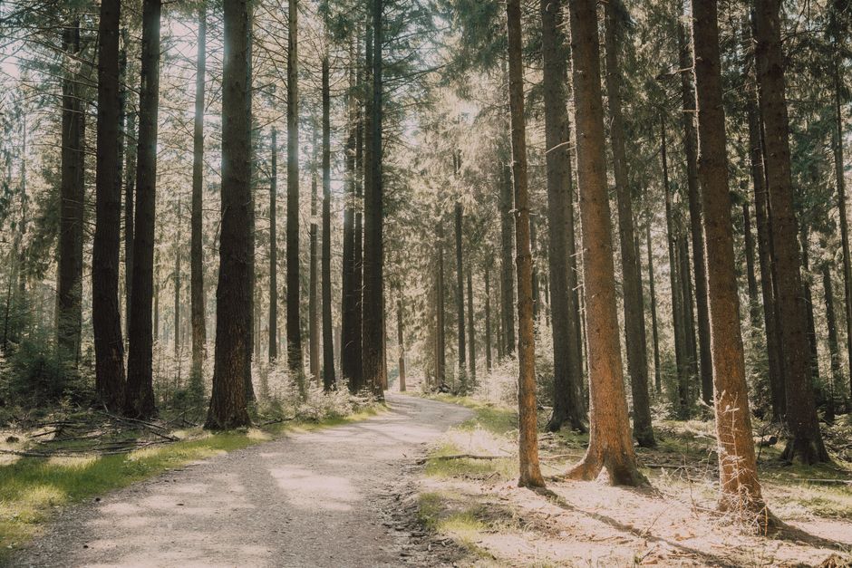 Small Wins With Recovery, Rest Days And Overdoing It, for Real Life