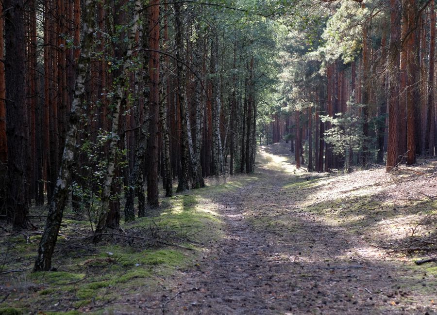The Importance Of Personal Well-Being: Practical Steps You Can Use