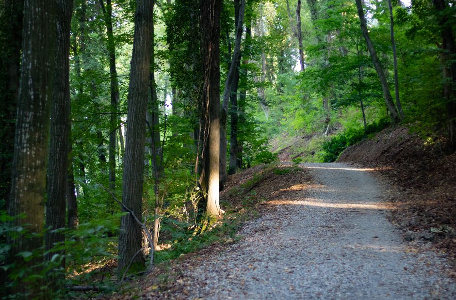 Understanding Health And Wellness: Where to Start
